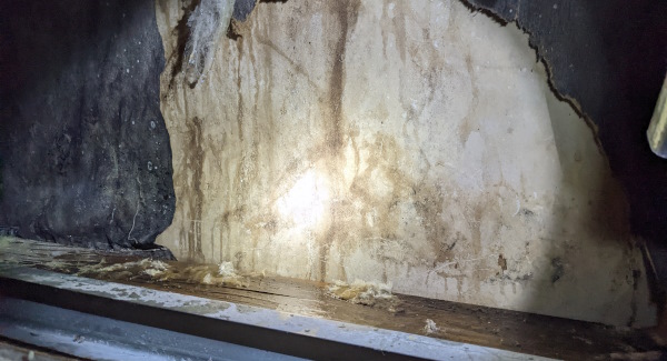 an exterior wall assembly leak has deteriorated the wall sheathing and encouraged organic growth (mold) in the wall